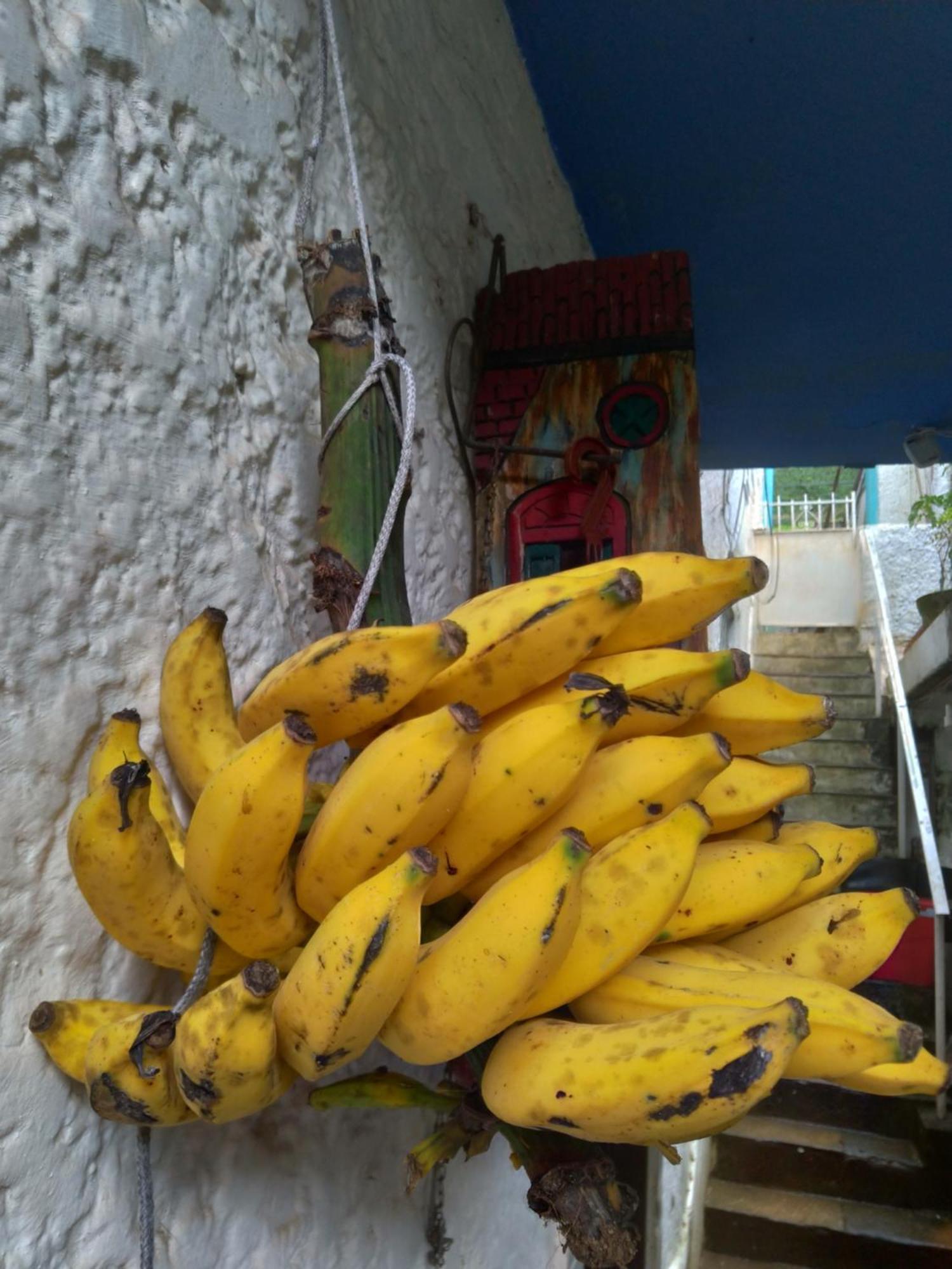 Bed and Breakfast Rio National Park H&C Rio de Janeiro Exterior foto